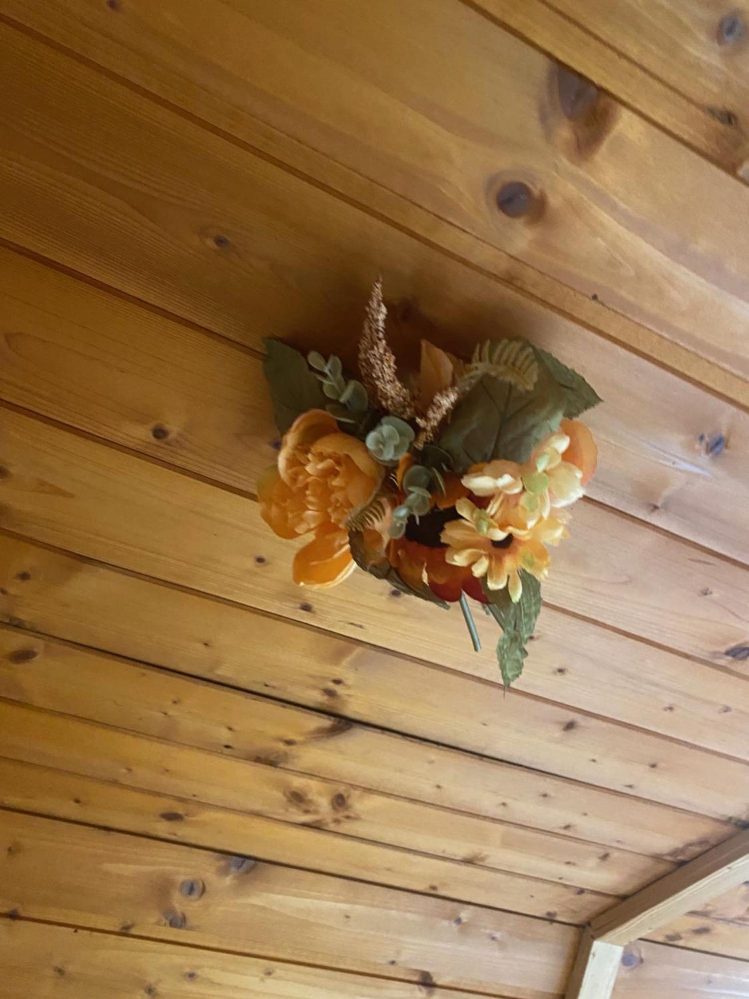 Chalet Au Seuil De La Foret 65m2 Nature &