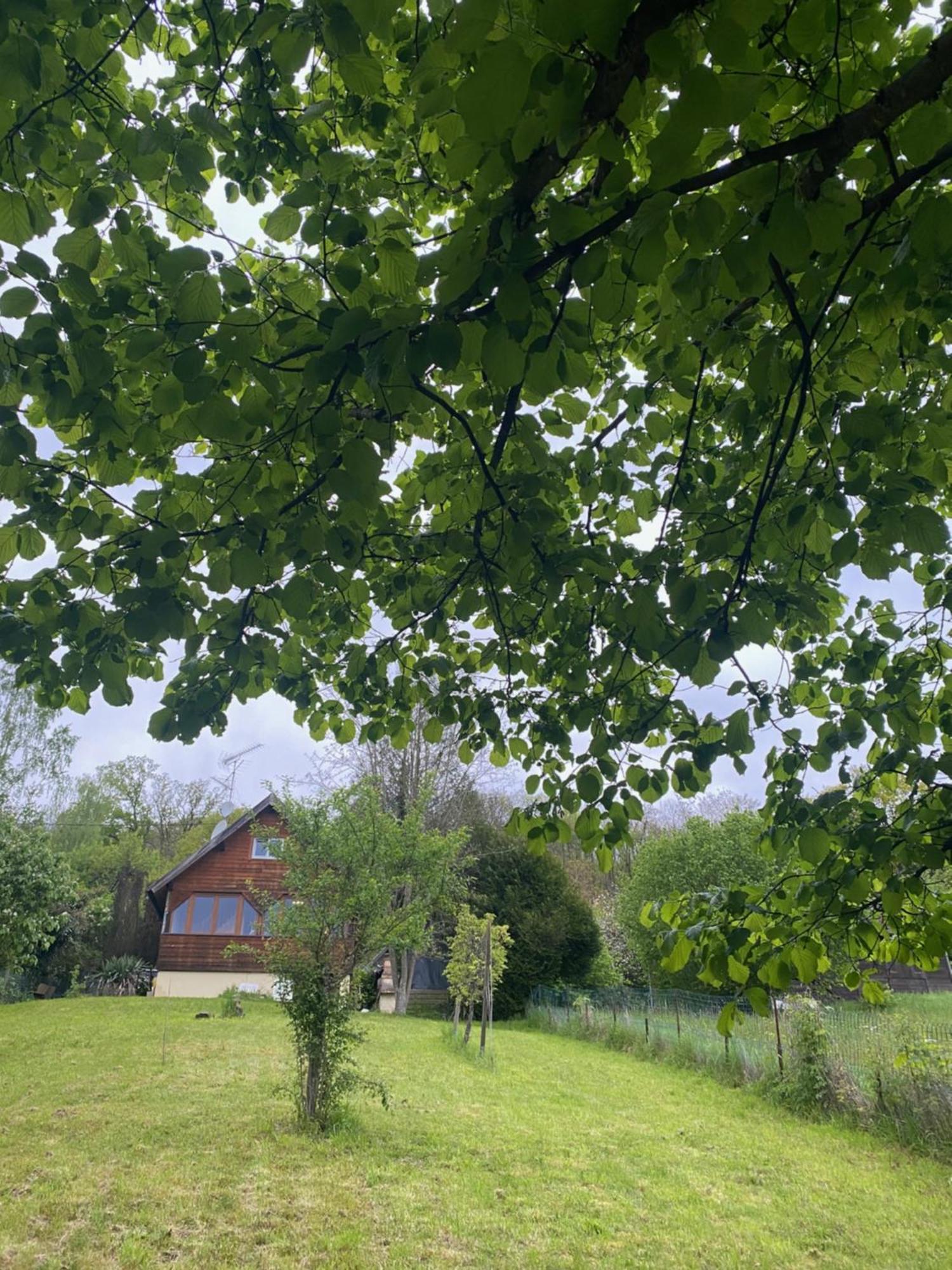Chalet Au Seuil De La Foret 65m2 Nature &