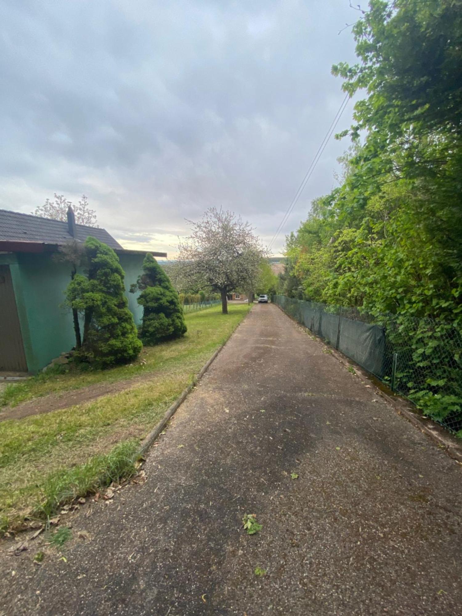 Au Seuil De La Foret 65m2 Nature & * Weinbourg