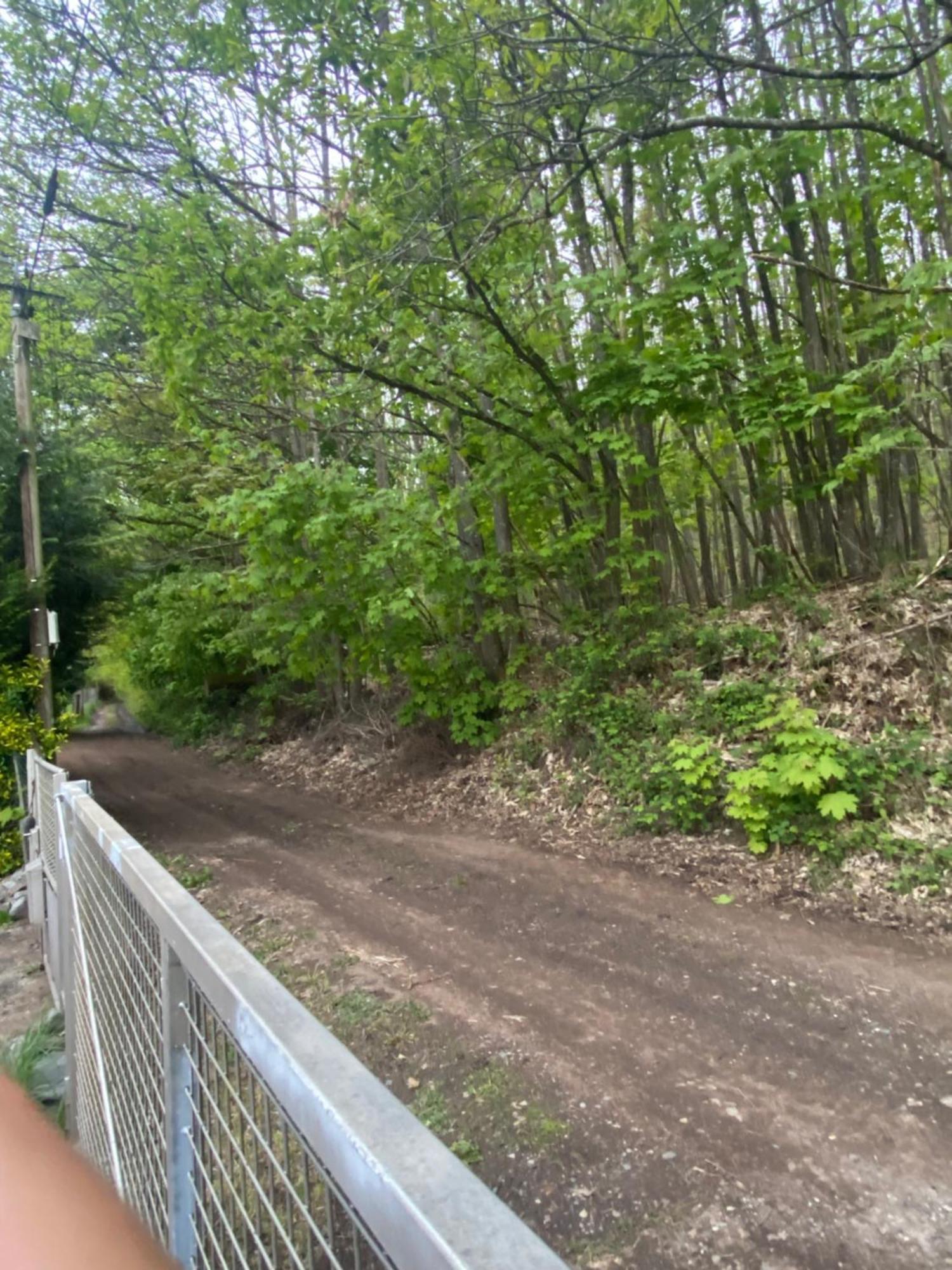 Au Seuil De La Foret 65m2 Nature & Chalet *
