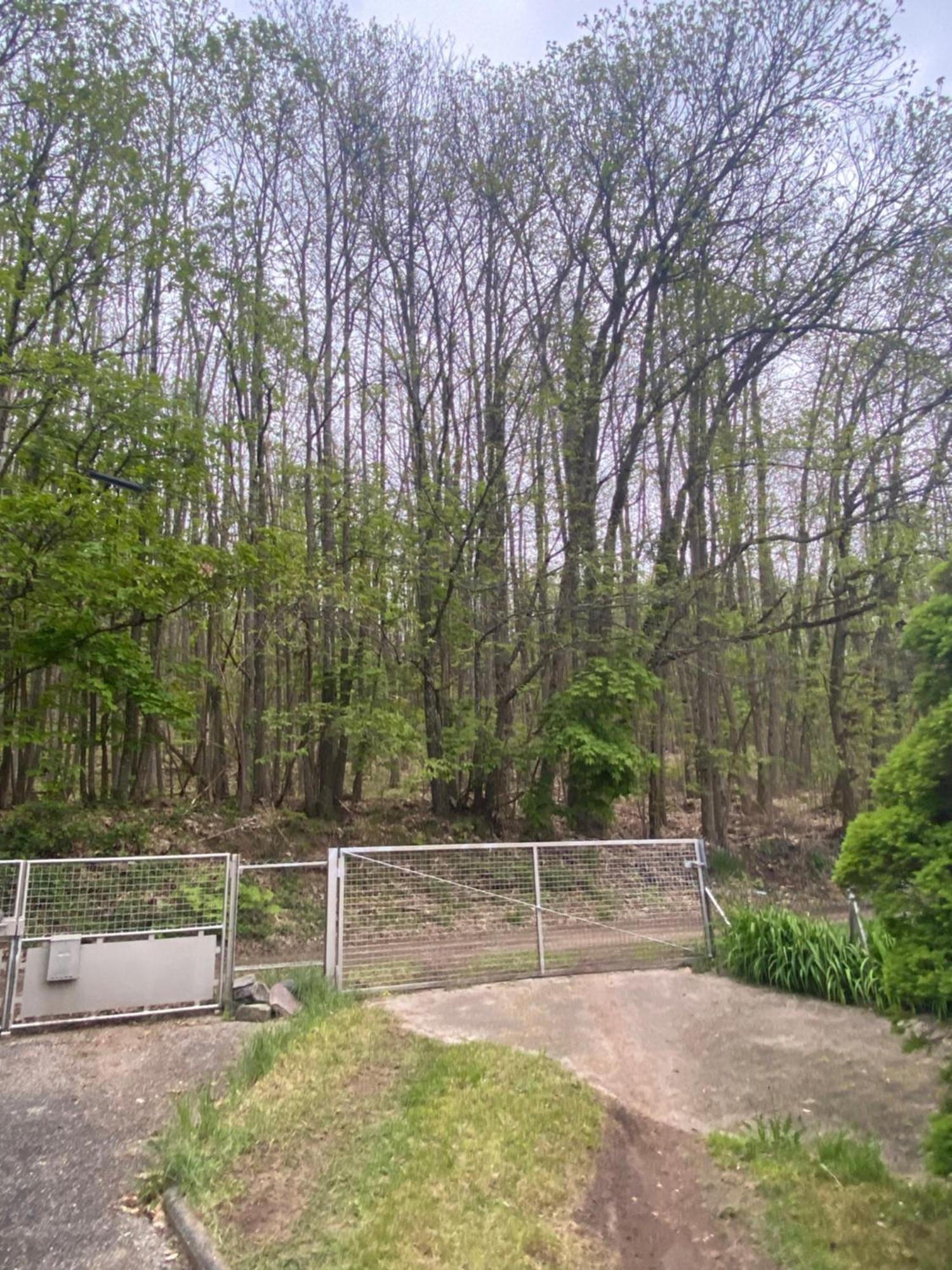 Au Seuil De La Foret 65m2 Nature & Weinbourg