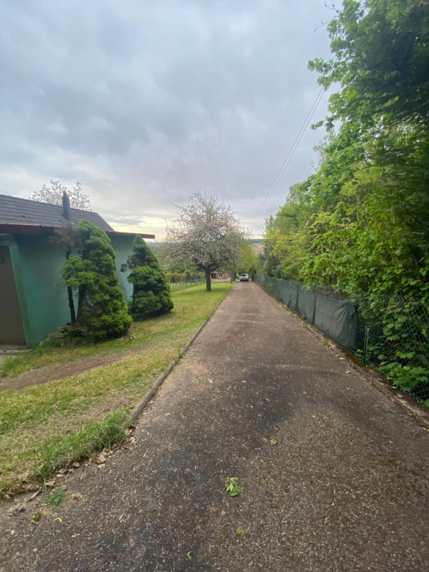 Au Seuil De La Foret 65m2 Nature & * Weinbourg